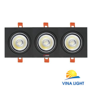 asia avd30 vinalight